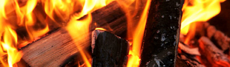 Slash-and-burn agriculture