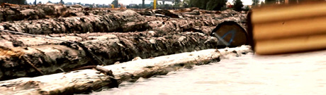 Canoeing alongside log booms of the Fraser